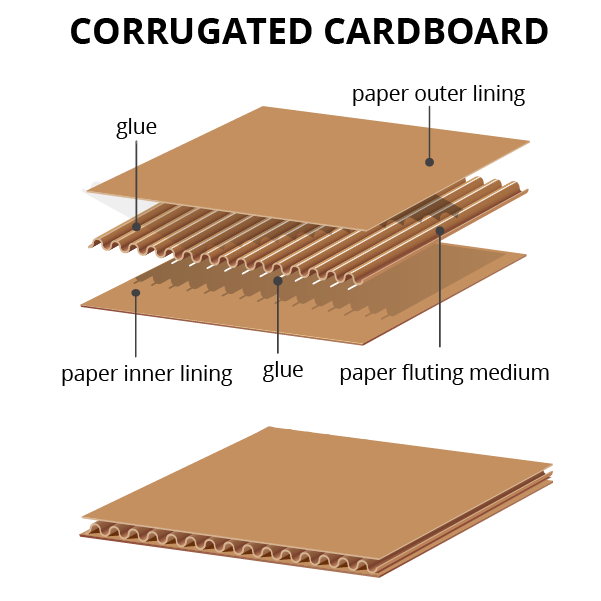 How Is Cardboard Made What Is It Made Of Paper Packaging